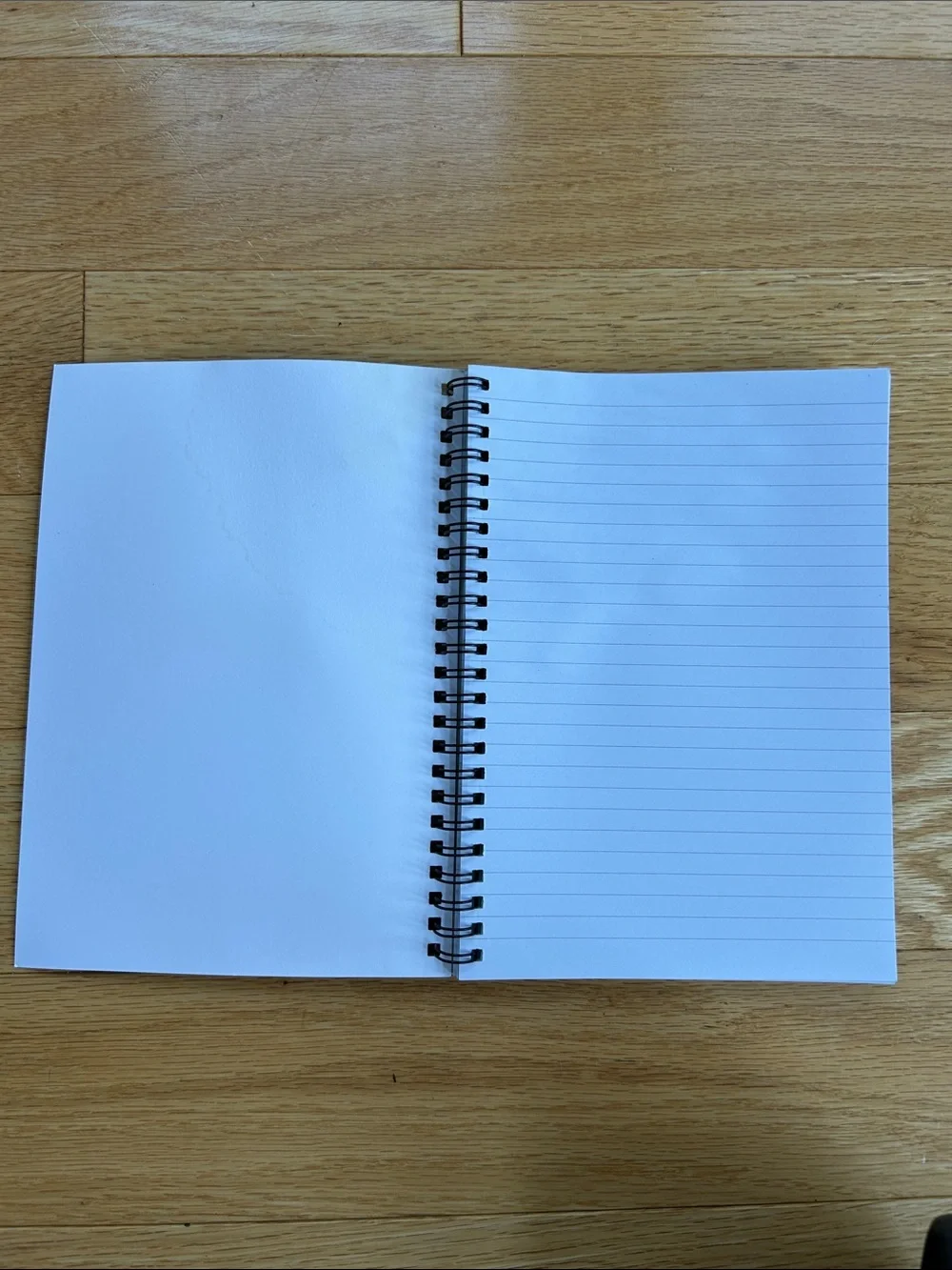 Handbook for the Recently Deceased Spiral Notebook - Beetlejuice
